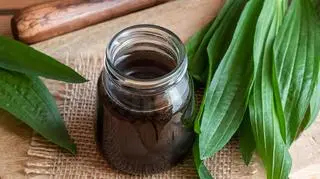 Syrop z babki lancetowatej – jak go zrobić i na co pomaga?