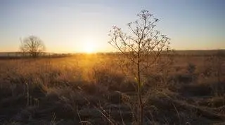 Pogoda na piątek. W tych regionach będzie pogodnie