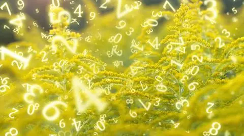Wibracja numerologiczna na sobotę. Wiele spraw może ulec spowolnieniu