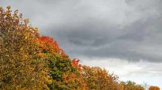 Pogoda na poniedziałek. Jak zaczniemy tydzień?