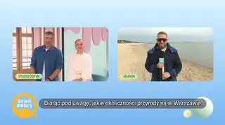 Lody domowej roboty - napisy