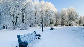 Pogoda na środę. Tu mróz wciąż nie odpuszcza, są alerty IMGW