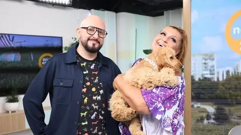 Dlaczego cocker spaniel to idealny pies dla rodzin? Kasia Skrzynecka zdradza szczegóły