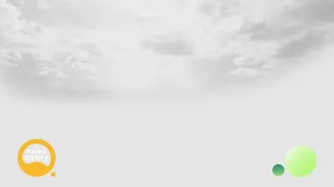 DD_20241103_Miss_REP