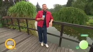 Piękna jesień w ogrodzie botanicznym w Powsinie 