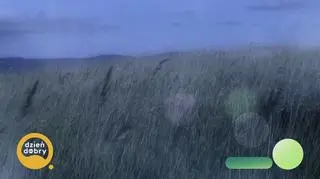 Rdzenni Amerykanie – prawdziwi bohaterowie Dzikiego Zachodu