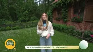Niedzielny wypoczynek nad jeziorami 