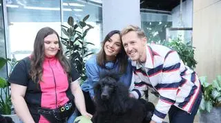 Jak ostrzyc i uczesać pudla?