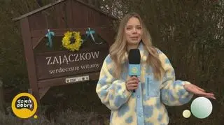 Wiosna w Zajączkowie 