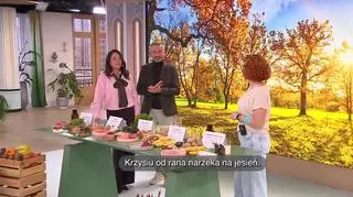 Przyszła jesień, humor w kieszeń... Jak zadbać o dobry nastrój? (napisy)