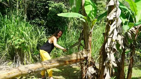 "Jestem z Polski 16" Kostaryka