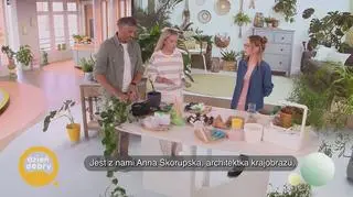 Jak zadbać o kwiaty, gdy wyjedziemy na urlop? - napisy
