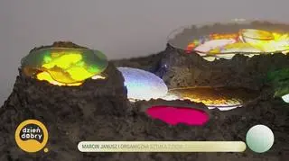 Marcin Janusz i organiczna sztuka z ziemi, cukru i żywicy 