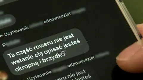 Komunikatory klasowe zagrożeniem dla dzieci? "Wyzywają się dla zabawy"