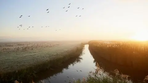 Pogoda na wrzesień i późną jesień. Kiedy zrobi się chłodniej? 
