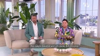 Odeszła od świadków Jehowy - napisy