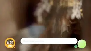 Porcelanowe lalki pełne emocji - napisy 