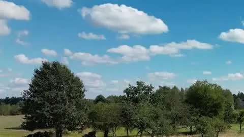 DD_20241008_Konie_REP_napisy
