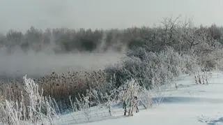 Pogoda na piątek. Powrót zimy w kilku regionach. Uwaga na gołoledź i poranne mgły