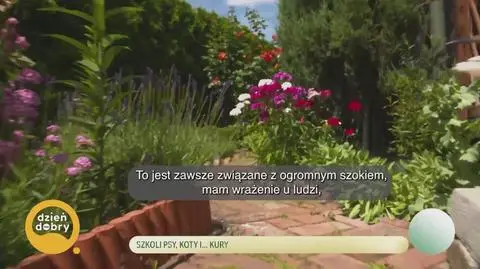 Klatka kluczowa-517790