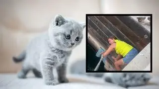 Dubaj. Polka uratowała tonącego kota