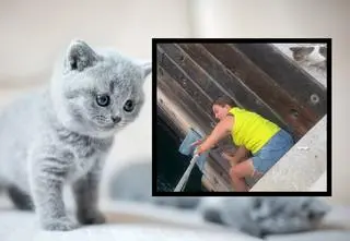 Polka uratowała kotka i stała się bohaterką w Dubaju. Nagranie ma milion odsłon 