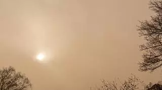 Saharyjski pył dotrze do Polski. Czy jest groźny?