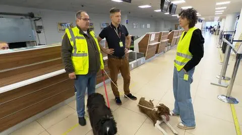 Jak wygląda praca psów na lotnisku? 