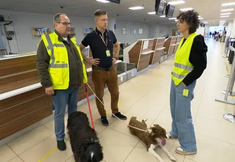 Falco to pies, który pracował na lotnisku w Łodzi. Czym się zajmował?