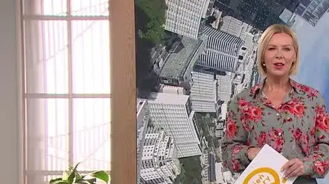 DD_20241020_Newsy_2_REP