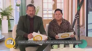 Najlepsze miejsca do wyjazdu na ferie - napisy