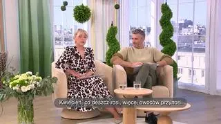 “Kwiecień plecień”, czyli zawirowania w pogodzie – napisy