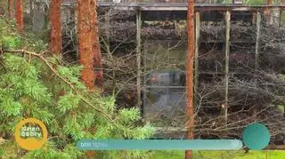 Dom-tężnia (napisy)