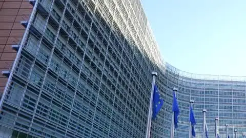DD_20250119_Bruksela_rep_REP