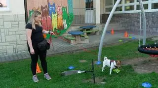 Psia szkoła. Co zwierzakowi daje nosework? 