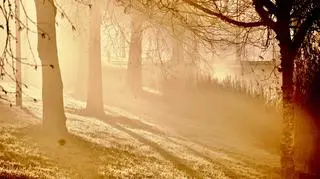 Pogoda na piątek. W tych regionach należy spodziewać się gęstej mgły