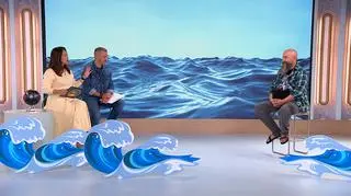 Czym się różni morze od oceanu? Odpowiedź nie jest taka prosta. "Można się zorientować"