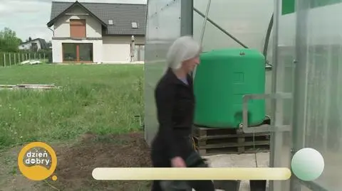 Klatka kluczowa-434805