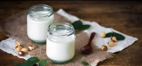 Jogurt z mrówek? Duńscy badacze odtworzyli dawną recepturę 