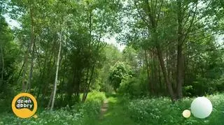 Przybysze z kosmosu w Emilcinie? - napisy