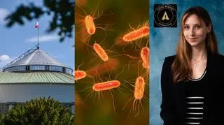 Zmiana definicji gwałtu, epidemia bakterii E.coli, polska scenografka doceniona. Oto najważniejsze newsy z piątku