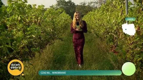 DD_20240906_Pogoda_REP