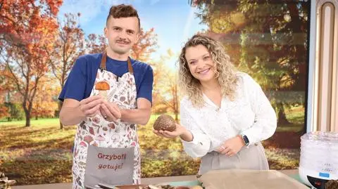 Jak się suszy grzyby?