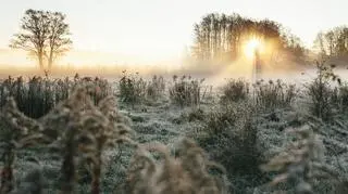 Pogoda na piątek. Nad kraj napływa nowy front atmosferyczny