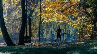 Rola treningu przy budowaniu odporności