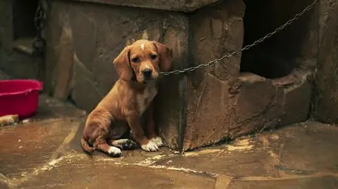 GettyImages-1056348972