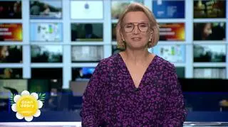 Najważniejsze newsy w Dzień Dobry Wakacje 
