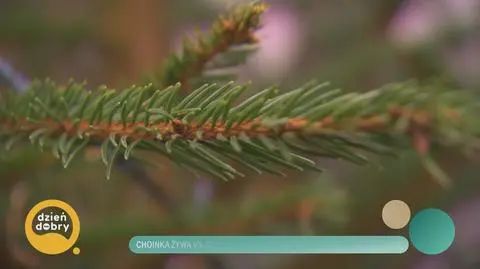 Klatka kluczowa-86985