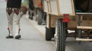 Konie nad Morskim Okiem