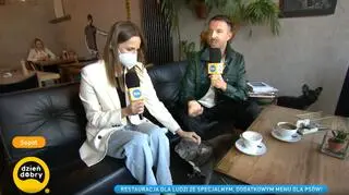 Czym nie wolno karmić psa?